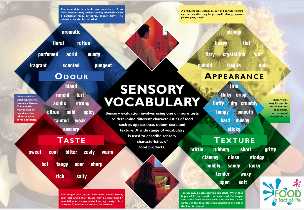 Sensory vocab