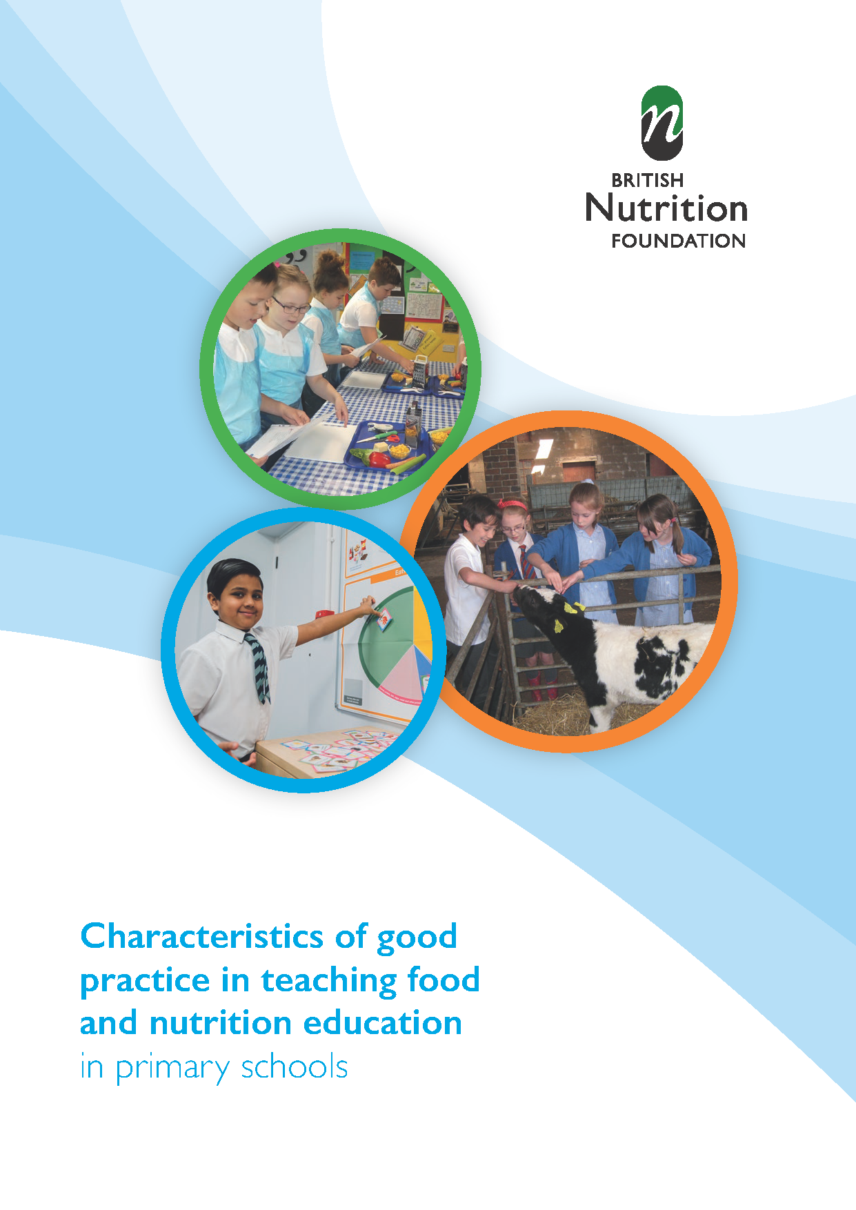 An image of the cover of the characteristics of good practice guide